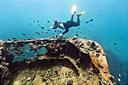 scuba-diving-divingschools